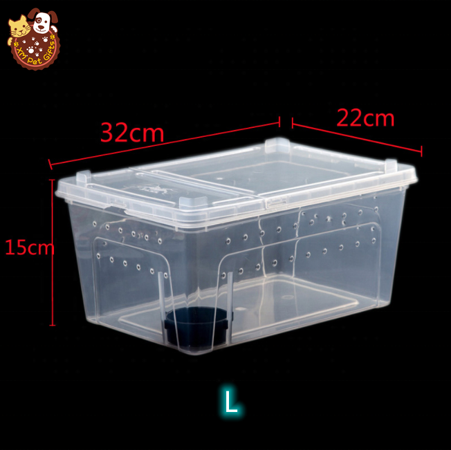 reptile feeding box
