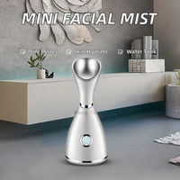 Mini Brumisateur Portable ABS pour Soins de la Peau, Hydratant Facial, Léger, Logo Personnalisé