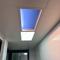 Plafonnier LED à écosystème intelligent de style moderne pour salle d'étude Lumière du jour naturelle Puits de lumière artificielle pour le salon