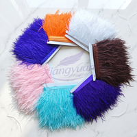 Promotion : Bordure en plumes d'autruche blanches teintées, 10-13 cm, franges moelleuses, garniture en dentelle pour robe de soirée et décoration de danse