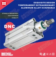 Festos Type DNC Cylindre Standard Cylindre DNC40-25-50-75-100-125-150-Ppv-a
