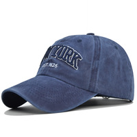 Gorra de béisbol deportiva Unisex ajustada algodón lavado color lavado 6 paneles bordado 3D clásico vintage al por mayor