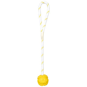 Pelota de Goma con Cuerda Flotante de 4.5 cm x 35 cm, Juguete para Mascotas - Product Image 1