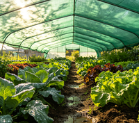 Filet d'ombrage vert tissé, protection UV, toile pare-soleil pour serres, agriculture et légumes