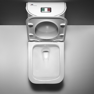 Inodoro de Cerámica Rectangular de Una Pieza con Diseño Moderno Arrow, Descarga por Sifón, Precio Competitivo en Porcelana para Baño - Product Image 5