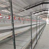 Vente Flash : Poulailler Galvanisé pour Élevage Avicole, Cage à Poulets de Chair Type H avec Système d'Alimentation Automatique pour 10 000 Poulets