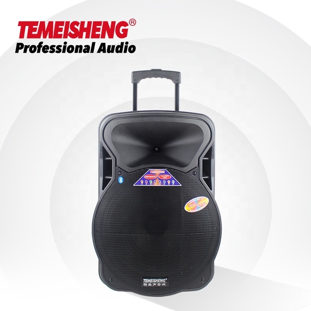 Temeisheng 15 Inch Karaoke Trolley Rechargeable BT Speaker With USB FM Function Blue Tooth Wireless Active pa Speaker
