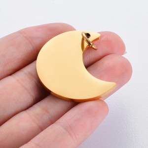 Pendentif d'identification pour animaux de compagnie en acier inoxydable, forme lune, vierge, pour collier personnalisé, porte-clés, breloque, accessoires DIY, 24x30mm, 4 couleurs - Product Image 4
