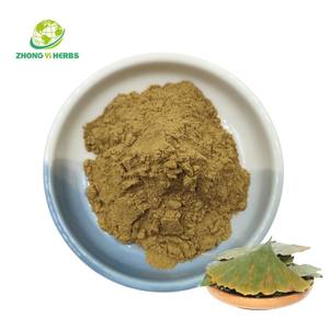 천연 유기농 은행나무 빌로바 추출물 24% 은행나무 플라보노이드 은행나무 빌로바 잎 추출물 분말 - Product Image 1