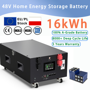 Batería de Iones de Litio PL Stock 48V 51.2V 314Ah V19 con Función de Calefacción BMS, Almacenamiento de Energía 16kWh, Paquete de Baterías Ensambladas - Product Image 3