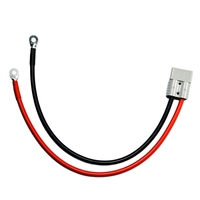 Connecteur haute intensité 40A/50A/120A/175A/350A 600V, câble de charge de batterie, faisceau de câblage pour véhicule électrique, borne en cuivre