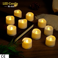 Lumières festives électroniques LED OTHC BL-dzlz, petites lumières LED pour thé, lumières clignotantes, décoration extérieure de Pâques, 24 pièces par paquet