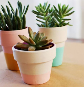 Pot en terre cuite artisanal de style vintage, sculpté à la main, écologique, pour plantes d'intérieur et d'extérieur, herbes, succulentes - Product Image 1