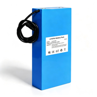 Paket Baterai Lithium Kustom 25.6V 48V 60Ah untuk Penyimpanan Energi