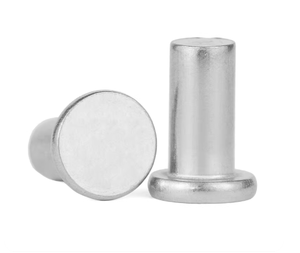 Rivets pleins en acier inoxydable 304 316 plaqué zinc blanc jaune, rivets pleins en acier au carbone 1/4 x 1/2, rivets pleins <span class=keywords><strong>à</strong></span> tête plate M10 en acier inoxydable - Product Image 2