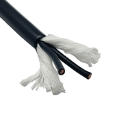 Herstellerdirektverkauf von 2-adrigem Verschleißfestem Hochflexiblem PVC-Steuerkabel für Industrieautomation und Roboterausrüstung