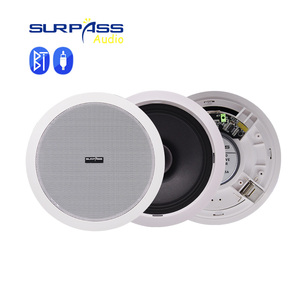 Altavoces de techo activos de alta fidelidad BT510 Bluetooth Amplificador de clase D incorporado Altavoz de pared BT de rango completo para audio de sistema de alimentación de 10W - Product Image 3
