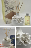Diffuseur de parfum à bâtonnets personnalisé avec logo, huiles aromatiques liquides naturelles, couleur et parfum sur mesure, non toxique, 100 ml, pour la maison