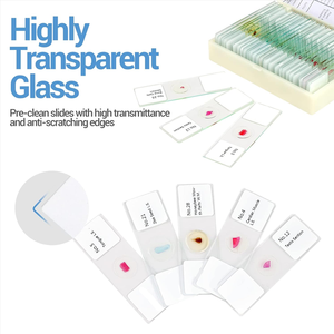 Portaobjetos de Microscopio de Vidrio para Biología, Histología Humana y Plancton de Agua Dulce, Preparados, a Bajo <span class=keywords><strong>Precio</strong></span> Hecho en China - Product Image 3