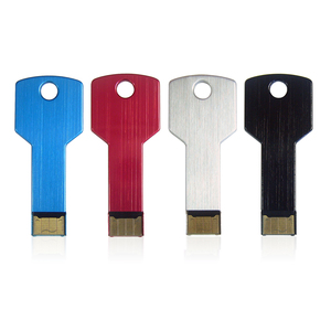 Anahtar şekilli 2.0 USB bellek Flashdisk bellek sopa 4GB 8GB 16GB 32GB özel PenDrive - Product Image 2