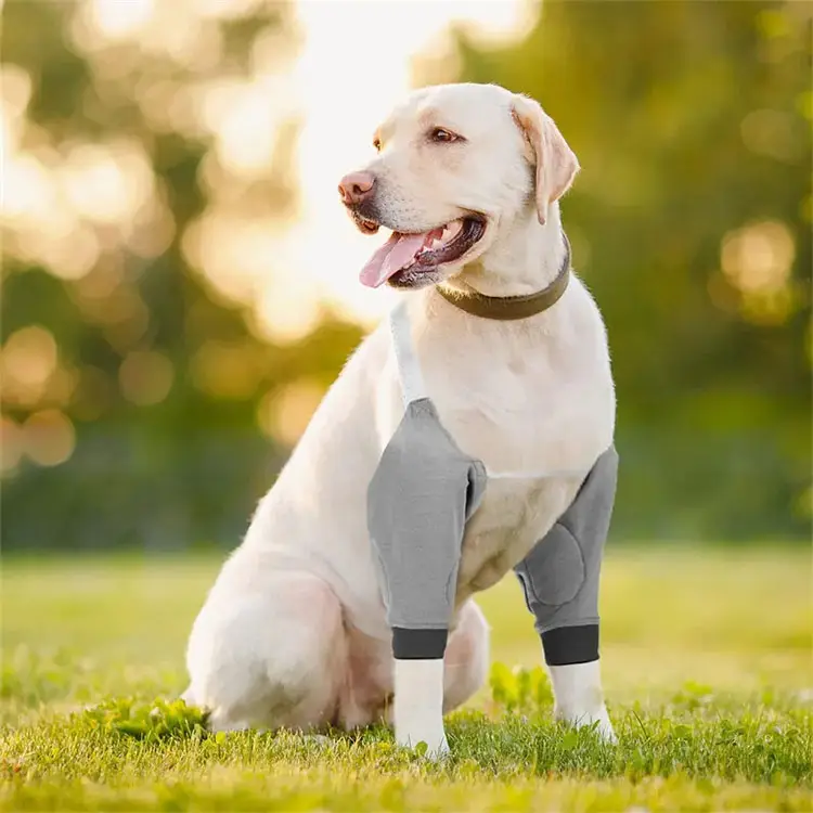 調節可能な犬の膝ブレースフロントレッグリカバリースリーブニーパッド弾性バンド付き犬ペットストップなめる肘の傷カバー