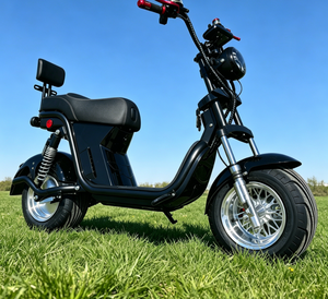 Moto à grande vitesse avec batterie au plomb 110V, vélo électrique de course pour adultes avec certification CEE 1. Matériaux de qualité supérieure |   Robuste et résistant - Product Image 2