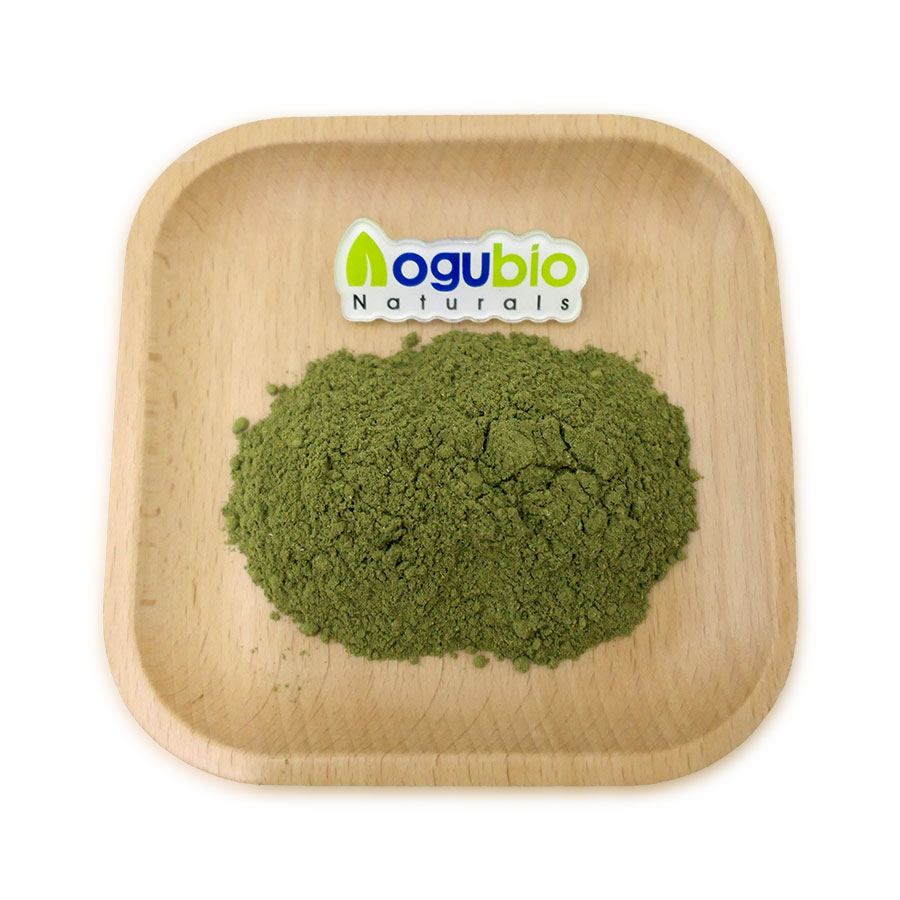 High Quality Plant Extract Mentha Haplocalyx Extract Best Price Organic Mentha Haplocalyx Extract