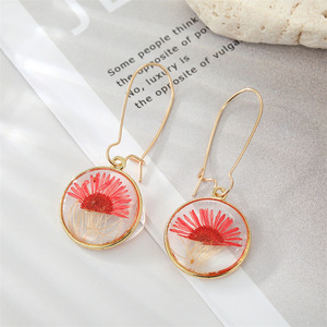 Pendientes redondos de resina con flores secas estilo bohemio vintage para mujer, pendientes colgantes creativos y coloridos con flores preservadas eternas, minimalistas - Product Image 5