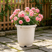 Pots de culture en plastique pour pépinière, fleurs, herbes et légumes, avec trous de drainage, pour usage extérieur et intérieur, blanc