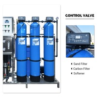 Machine de traitement de l'eau par osmose inverse industrielle du système de purification de l'eau 250lph Ro