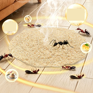 Cebo para Insectos Dinotefuran 0.5%, <span class=keywords><strong>Insecticida</strong></span> Profesional para Eliminar Plagas, Control de Cucarachas y <span class=keywords><strong>Hormigas</strong></span>, <span class=keywords><strong>Insecticida</strong></span> Dinotefuran - Product Image 2