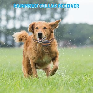 Elecpet Valla Inalámbrica GPS para Perros Compatible con la App Buscar de <span class=keywords><strong>iPhone</strong></span>, Sistema de Contención Eléctrico para Mascotas, Collar Recargable Resistente al Agua - Product Image 5