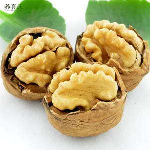 クルミ殻殻乾燥フルーツ袋5kg中国