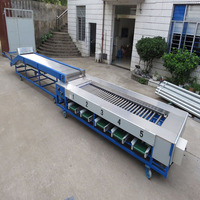 Goedkope Automatische Fruitgroente Sorteermachine Aardappeltomaat Sortering Productielijn Dateert Fruit Appelkwaliteit Sorteermachine