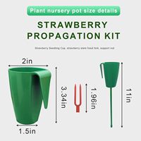 10 pièces racines nues fraise plantes outils de culture fraise semis élevage Pot fraise racines Propagation Station tasse