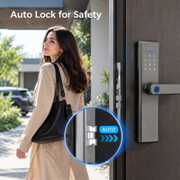 Disponibile Serratura Intelligente Tuya WIFI con Scheda, Serratura Digitale Smart con Controllo Remoto tramite App e Password Personalizzabile per Camera da Letto