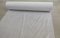Tissu non tissé en polyester pour revêtements imperméables ; Renforcement des fissures dans le béton et des tuiles en acier coloré