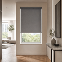 Stores enrouleurs en tissu pour appartement, délicats, à tissage fin, sur mesure, avec système de freinage sans fil et commande par ressort pour le contrôle de la lumière