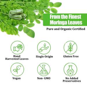 Capsules Moringa <span class=keywords><strong>Matin</strong></span> | Réveil Doux Soutien Énergétique Naturel - Product Image 5