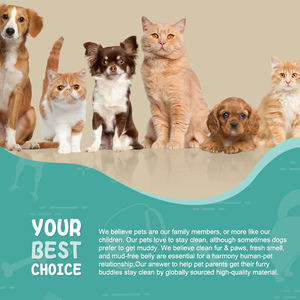 <span class=keywords><strong>LOW</strong></span> <span class=keywords><strong>MOQ</strong></span> Custom ized Core Schutz kegel Soft Recovery Haustiere Katze E-Halsband Elizabethan <span class=keywords><strong>Dog</strong></span> Cat Elizabethan Infla table Collar - Product Image 6