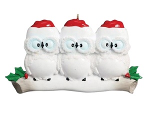 Déco de noël <span class=keywords><strong>personnalisé</strong></span> hibou <span class=keywords><strong>famille</strong></span> ornements de noël <span class=keywords><strong>personnalisé</strong></span> résine décor de maison suspendu ornement d'arbre de noël - Product Image 2