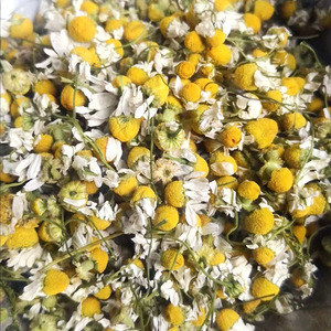 Flores de manzanilla secas de alta calidad a granel para té, té con sabor a flores secas - Product Image 6