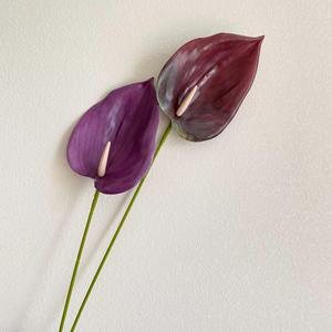 نبات أنثوريوم اصطناعي ثلاثي الأبعاد بتصميم فريد من نوعه، نبات أخضر اصطناعي لتزيين حفلات الزفاف، متوفر بالجملة من المصنع W-A0088 - Product Image 5