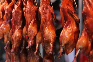 Chất Lượng Tốt Vịt Máy Rang Vịt Nướng Lò Thép Không Gỉ Tự Động Gas Vịt Rang Xay - Product Image 6