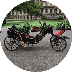 Buggy électrique de style européen sans chevaux à vendre, pour mariage, carrosse royal, remorque de carrosse - Product Image 6