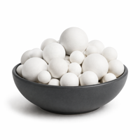 Bola Alumina Inert 99% Tahan Suhu Tinggi 3mm-50mm Bola Keramik untuk Media Pendukung Tempat Katalis Kilang