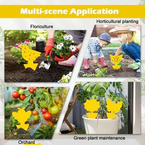 Fabrika Çıkışı Sağlam Çevre Dostu Tek Kullanımlık Sarı Yapışkan Böcek Yakalayıcı Tuzaklar Meyve Sineği İç/Dış Mekan Kullanımı İçin - Product Image 4