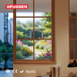 Fenêtre à battant moderne OPUOMEN <span class=keywords><strong>en</strong></span> aluminium avec double <span class=keywords><strong>baie</strong></span> <span class=keywords><strong>vitrée</strong></span>, verre transparent, cadre PVC et moustiquaire <span class=keywords><strong>en</strong></span> acier inoxydable - Product Image 1