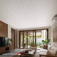 Panel de Techo de PVC Laminado con Diseño de Madera Blanca, Impermeable, Encastrable, Ignífugo, Insonorizante, con 5 Años de Garantía, para Interiores