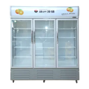 1000L drei-Türen-Direktkühlung niederdrücker Kupferrohr kommerzielle Getränke-Kühlung Schaukasten für Supermarkt